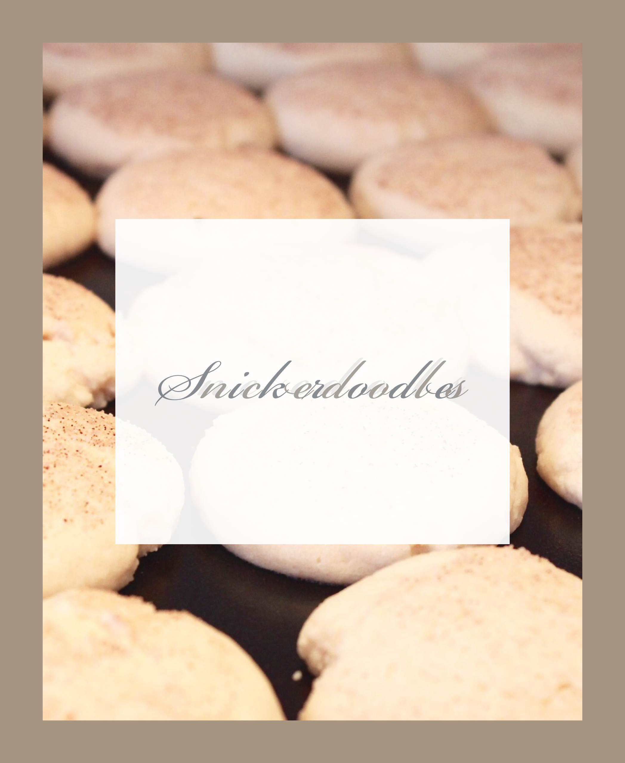 Blogger Cookie Exchange : Snickerdoodles